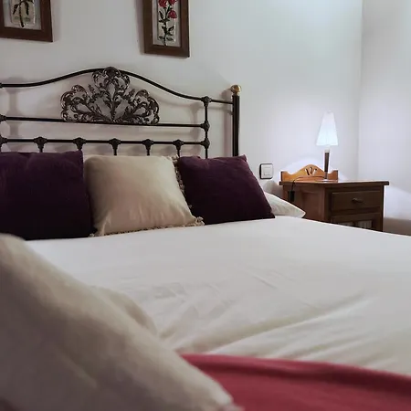 Vivienda Turistica Con Encanto Centrico, Wifi Y Patio *